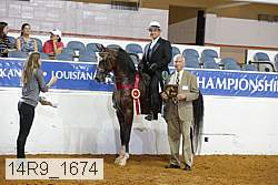 14r9_1674 thumbnail