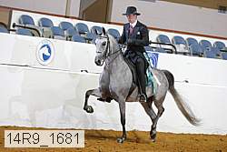 14r9_1681 thumbnail