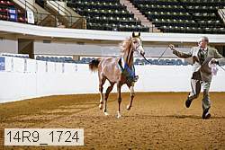 14r9_1724 thumbnail