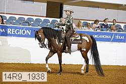14r9_1938 thumbnail