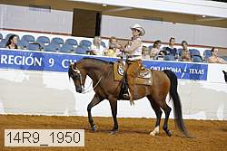 14r9_1950 thumbnail