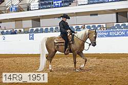 14r9_1951 thumbnail