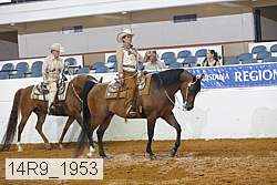 14r9_1953 thumbnail
