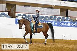 14r9_2307 thumbnail