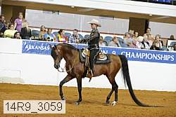14r9_3059 thumbnail