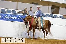 14r9_3119 thumbnail