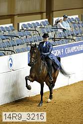 14r9_3215 thumbnail