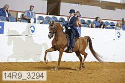 14r9_3294 thumbnail