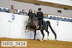 14r9_3434 thumbnail