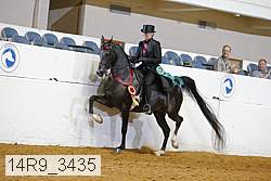 14r9_3435 thumbnail