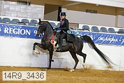14r9_3436 thumbnail