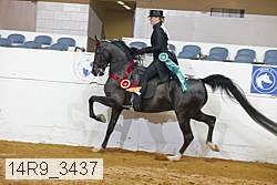 14r9_3437 thumbnail