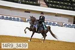14r9_3439 thumbnail