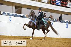 14r9_3440 thumbnail