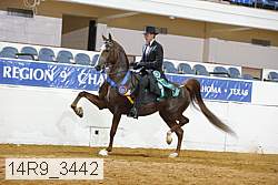 14r9_3442 thumbnail