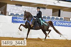 14r9_3443 thumbnail