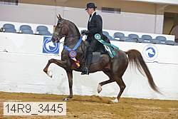 14r9_3445 thumbnail