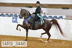 14r9_3446 thumbnail
