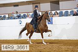 14r9_3661 thumbnail