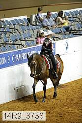14r9_3738 thumbnail