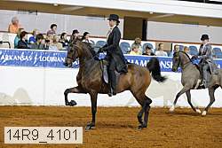 14r9_4101 thumbnail
