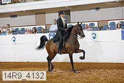 14r9_4132 thumbnail