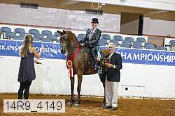 14r9_4149 thumbnail