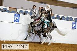 14r9_4247 thumbnail