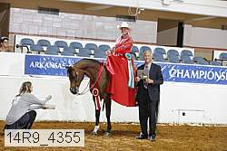 14r9_4355 thumbnail