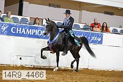 14r9_4466 thumbnail