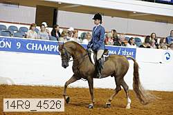 14r9_4526 thumbnail