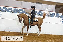 14r9_4657 thumbnail