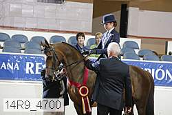 14r9_4700 thumbnail