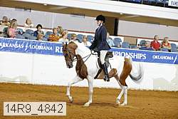 14r9_4842 thumbnail