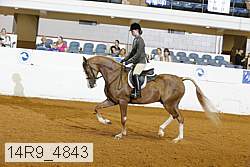 14r9_4843 thumbnail