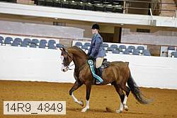 14r9_4849 thumbnail