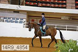 14r9_4854 thumbnail