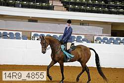 14r9_4855 thumbnail