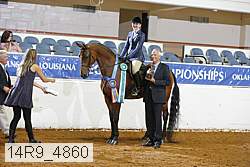 14r9_4860 thumbnail
