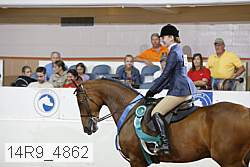 14r9_4862 thumbnail