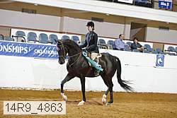 14r9_4863 thumbnail