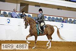 14r9_4867 thumbnail