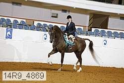 14r9_4869 thumbnail