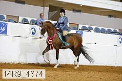 14r9_4874 thumbnail