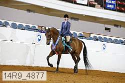14r9_4877 thumbnail