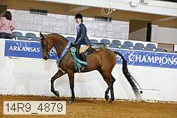 14r9_4879 thumbnail