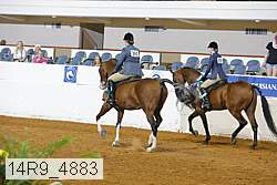 14r9_4883 thumbnail