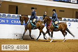 14r9_4884 thumbnail