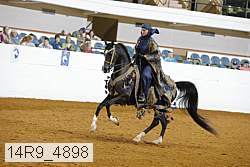 14r9_4898 thumbnail