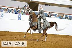 14r9_4899 thumbnail